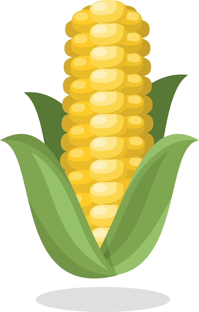 Vector Illustration Of A Corn With Green Leaves Food Illustration