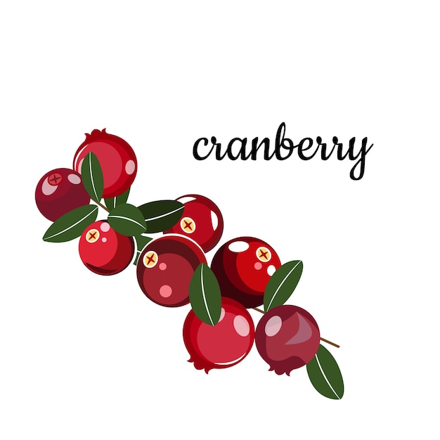 Vector illustration of a cranberry with an inscription