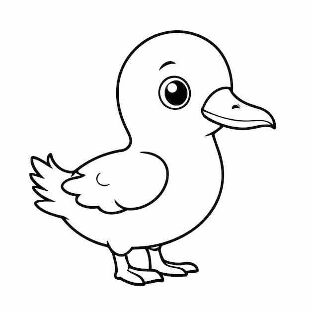 Vector illustration of a cute Albatross drawing for kids page