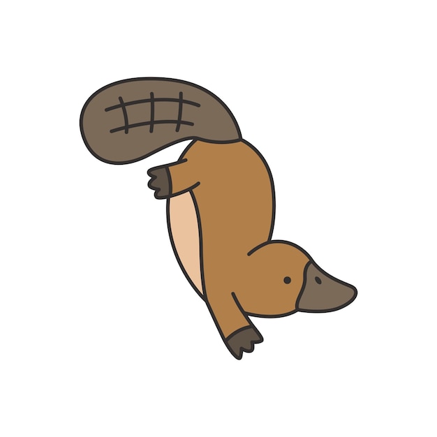 Vector vector illustration of a cute cartoon platypus on a white background flat style