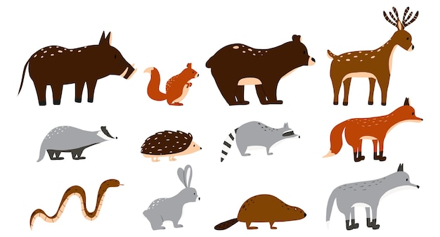 Vector illustration of cute forest animals. Vector set of forest animals. Fox, wolf, hare, raccoon, badger, deer, beaver.