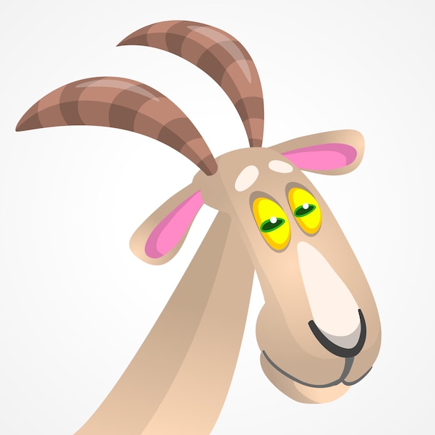 Vector illustration of cute goat character cartoon isolated