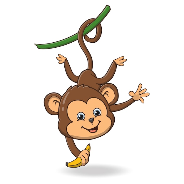 Vector illustration of cute monkey cartoon isolated on white