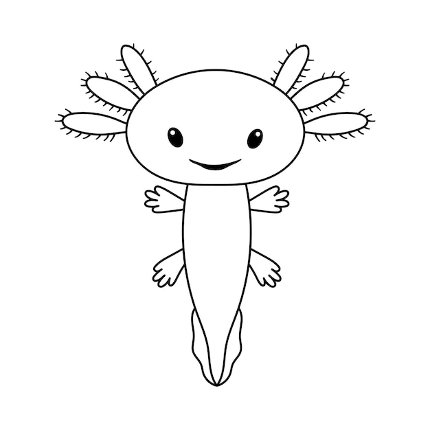 Vector illustration of cute stylized axolotl salamander isolated on white Baby axolotl smile Drawing in outline style for coloring book