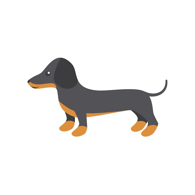 Vector vector illustration of dachshund for print and web design on a white background eps 10