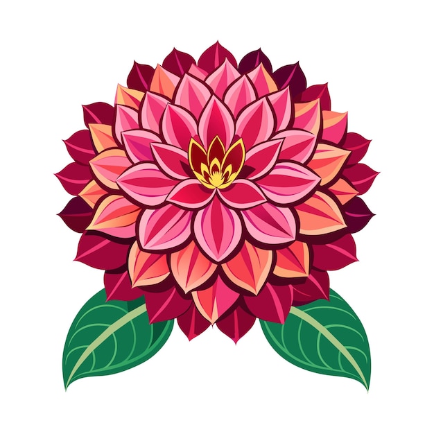 Vector of illustration dahlia on white