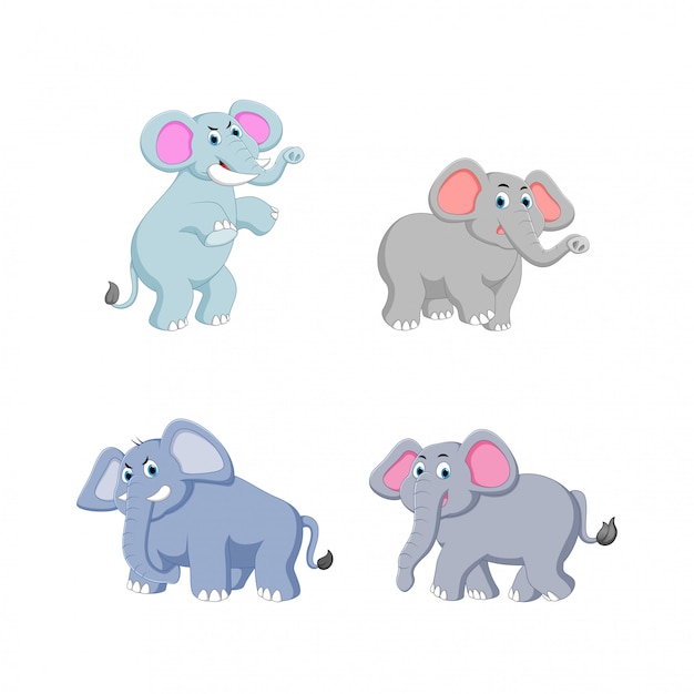 vector illustration of elephant cartoon