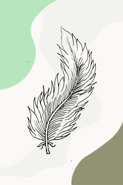 Vector illustration of Feathers Line art with cute backgrounds