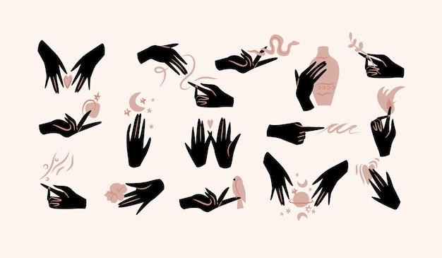 Vector vector illustration - female hands in in different gestures. abstract symbol for cosmetics and packaging or beauty products.