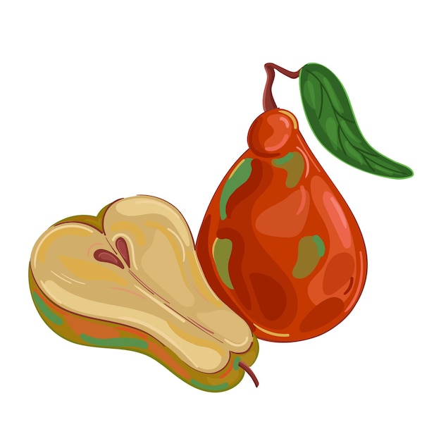 Vector illustration fruit pear hand draw style. Vector painting.