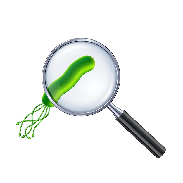 Vector illustration of green bacteria cell under the magnifying glass