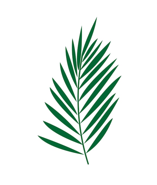 Vector illustration Green Palm Branch