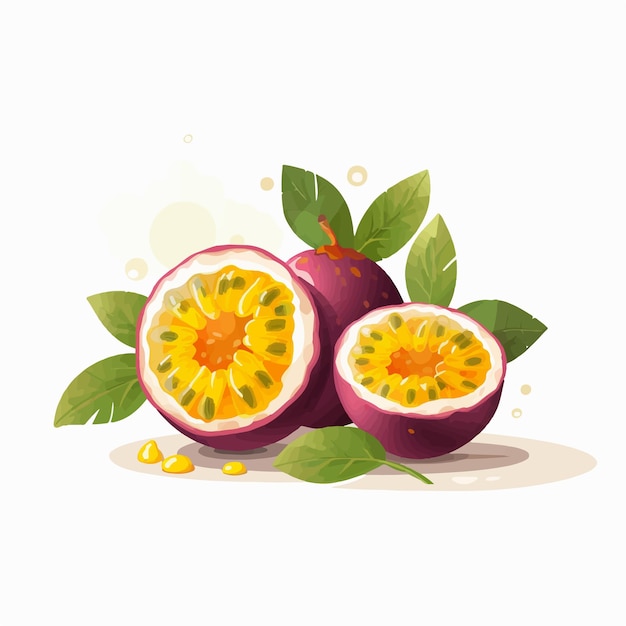 Vector illustration of a halfcut Passion Fruit