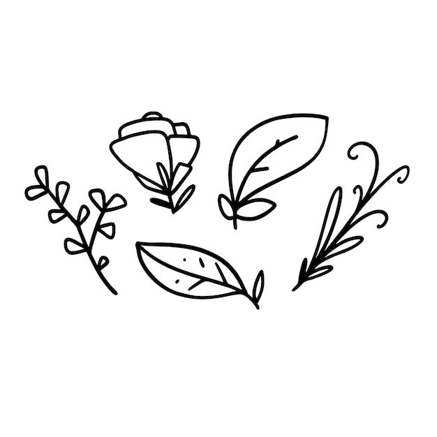 Vector Illustration of Hand drawn Floral Outline Doodle art style For Wedding Invitation-1