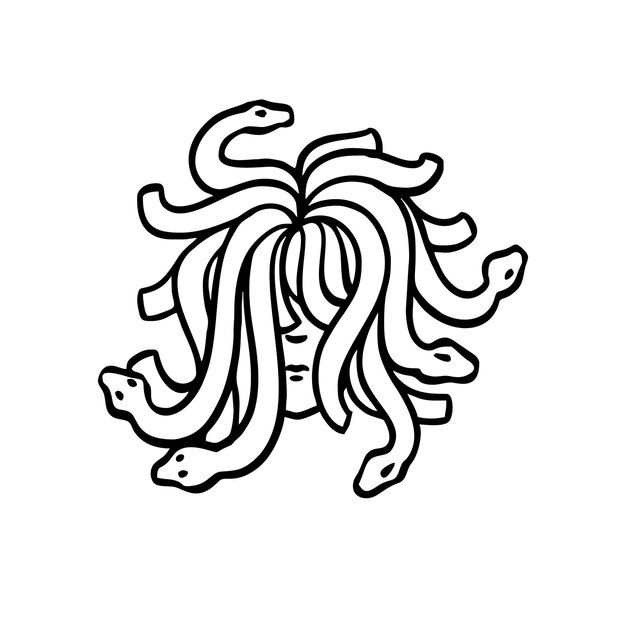 Vector Illustration of Hand drawn Medusa Head Line Drawing