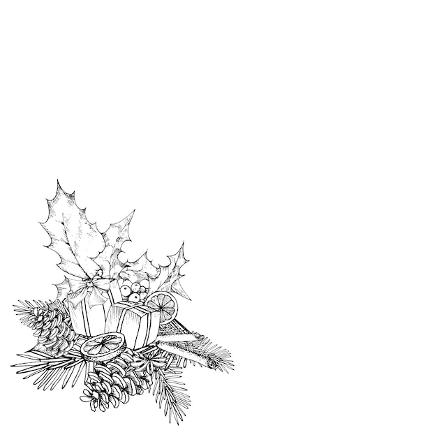 Vector illustration handdrawing Christmas composition Winter plants berries pine cones twigs