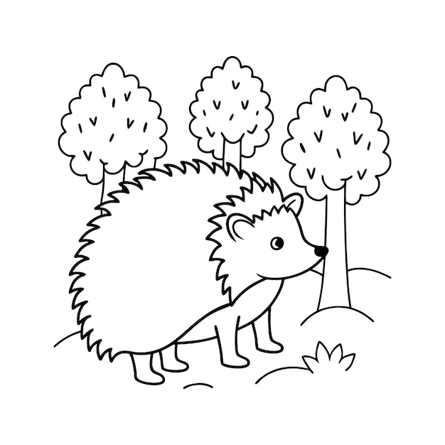 Vector vector illustration of hedgehog isolated on white background for kids coloring book