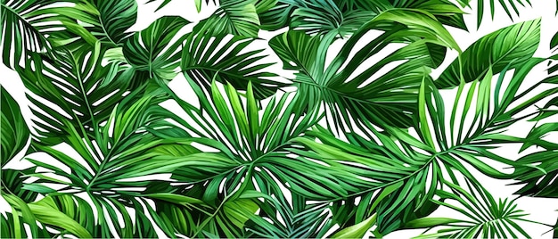 Vector illustration horizontal tropical leaves banners Exotic botanical design cosmetics spa healthcare products