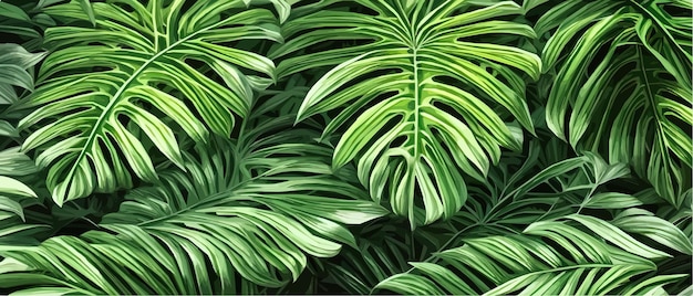 Vector illustration horizontal tropical leaves banners Exotic botanical design cosmetics spa healthcare products