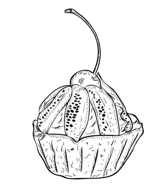 Vector illustration, isolated cupcake basket with cream, kiwi and confectionery cherries in black and white colors, original outline hand painted drawing