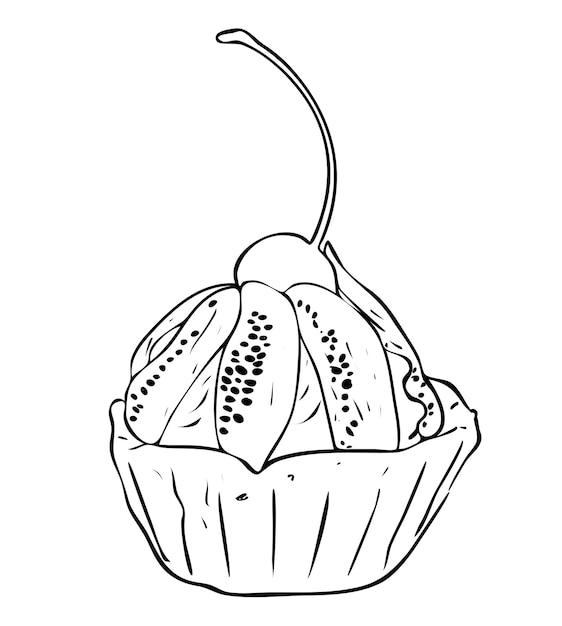 Vector illustration, isolated cupcake basket with cream, kiwi and confectionery cherries in black and white colors, outline hand painted drawing