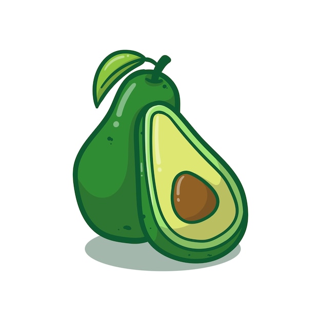 vector illustration isolated green avocado fruit isolated