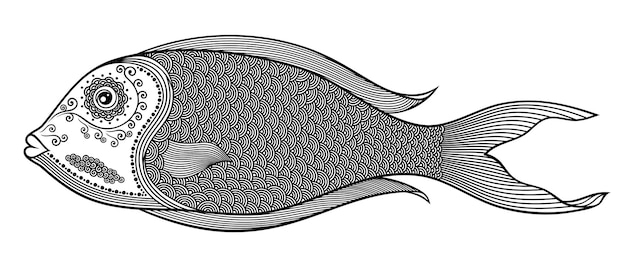 Vector illustration of isolated, stylized doodle fish in black color on white background.