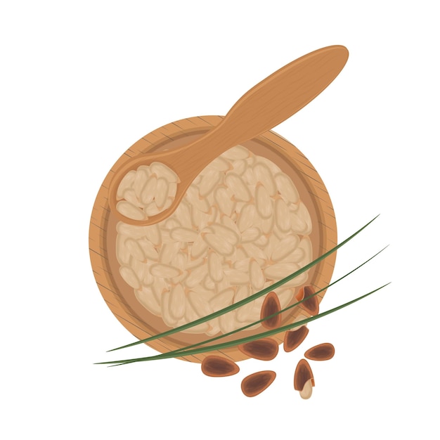 Vector illustration logo Clip art Top view pine nuts