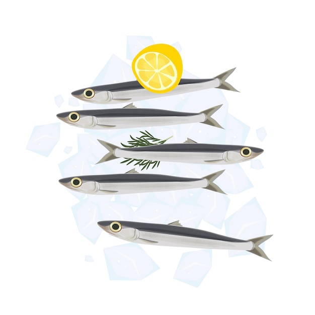 Vector vector illustration logo fresh anchovies