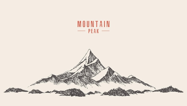 Vector illustration of a mountain peak with pine forest, engraving style, hand drawn