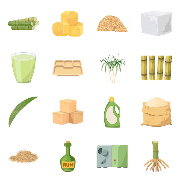 Vector illustration of natural and production icon. Set of natural and organic stock symbol for web.