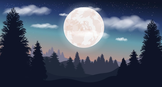 Vector illustration Night landscape moon Starry sky in the clouds Night forest