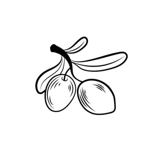 Vector illustration Olive sprig black and white icon template isolated