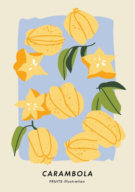 Vector illustration poster with carambola fruits Art for postcards wall art banner background