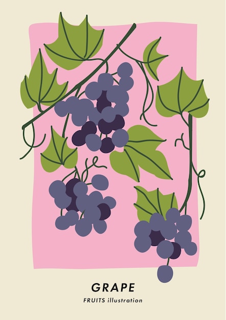 Vector illustration poster with grape fruits Art for postcards wall art banner background