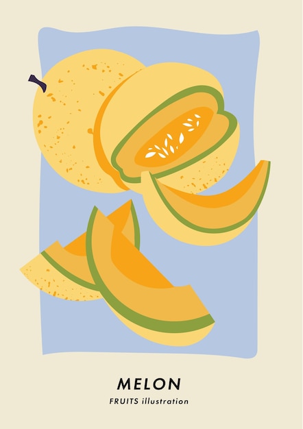 Vector illustration poster with melon fruit Art for postcards wall art banner background