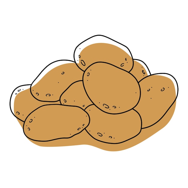 Vector illustration of potatoes. Isolated white background. Stylized potatoes. Sketch line potatoes