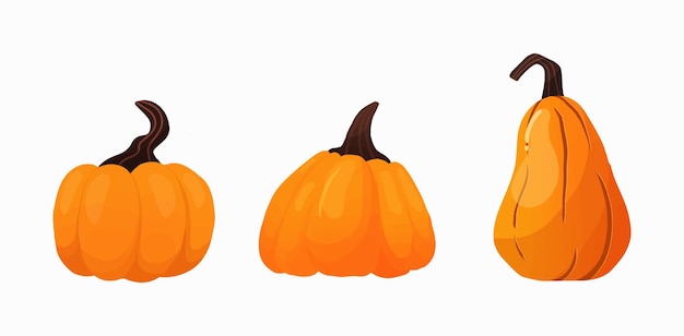 Vector Illustration Pumpkin Colorful Gradient Mascot