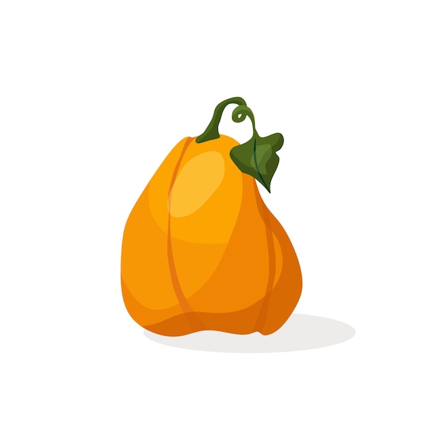 Vector illustration of a pumpkin The concept of organic nutrition