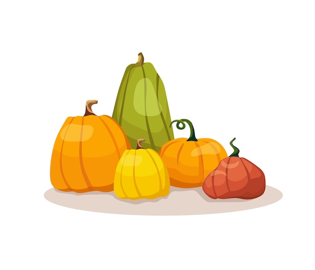 Vector illustration of pumpkins The concept of organic nutrition Template for printing