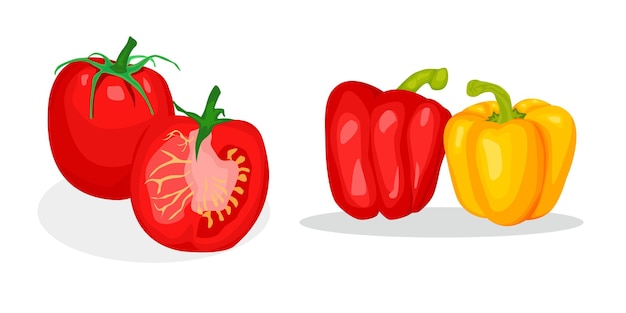 vector illustration of red tomatoes and yellow peppers isolated on white