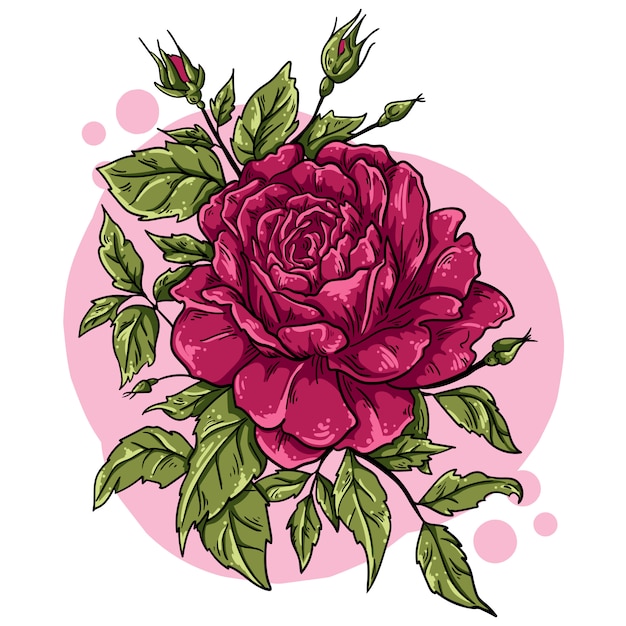 Vector illustration Rose flower