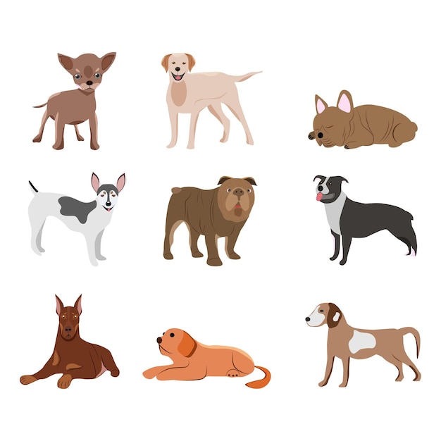 Vector illustration of a set of dog breeds