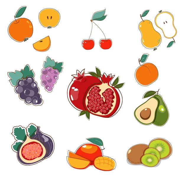 Vector illustration set of fruit in flat style