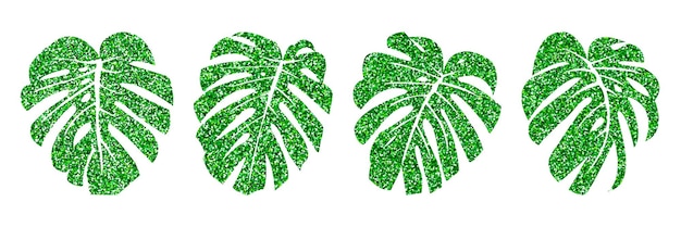 Vector illustration.  Set glitter texture green tropical leaves monstera isolated on white background.