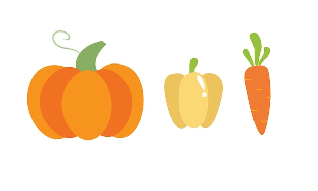 Vector illustration set of graphic colorful vegetable pumpkin carrot peppers