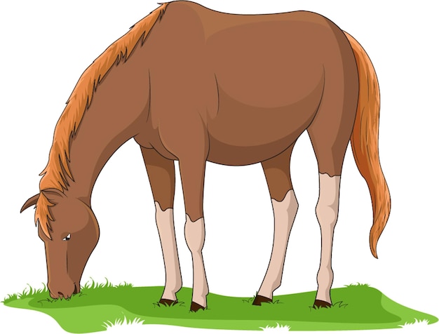 Vector illustration showing a horse eating grass in an isolated background