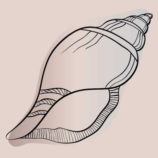 Vector illustration in sketch style Sea shell pattern Marine set