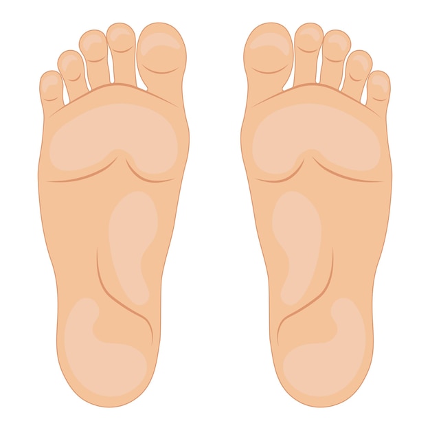 Vector illustration of the soles of the feet Vector illustration