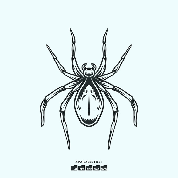 Vector Illustration Spider Handdrawn Simetrical